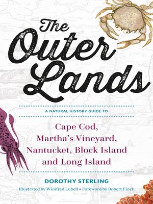 cover image of The Outer Lands